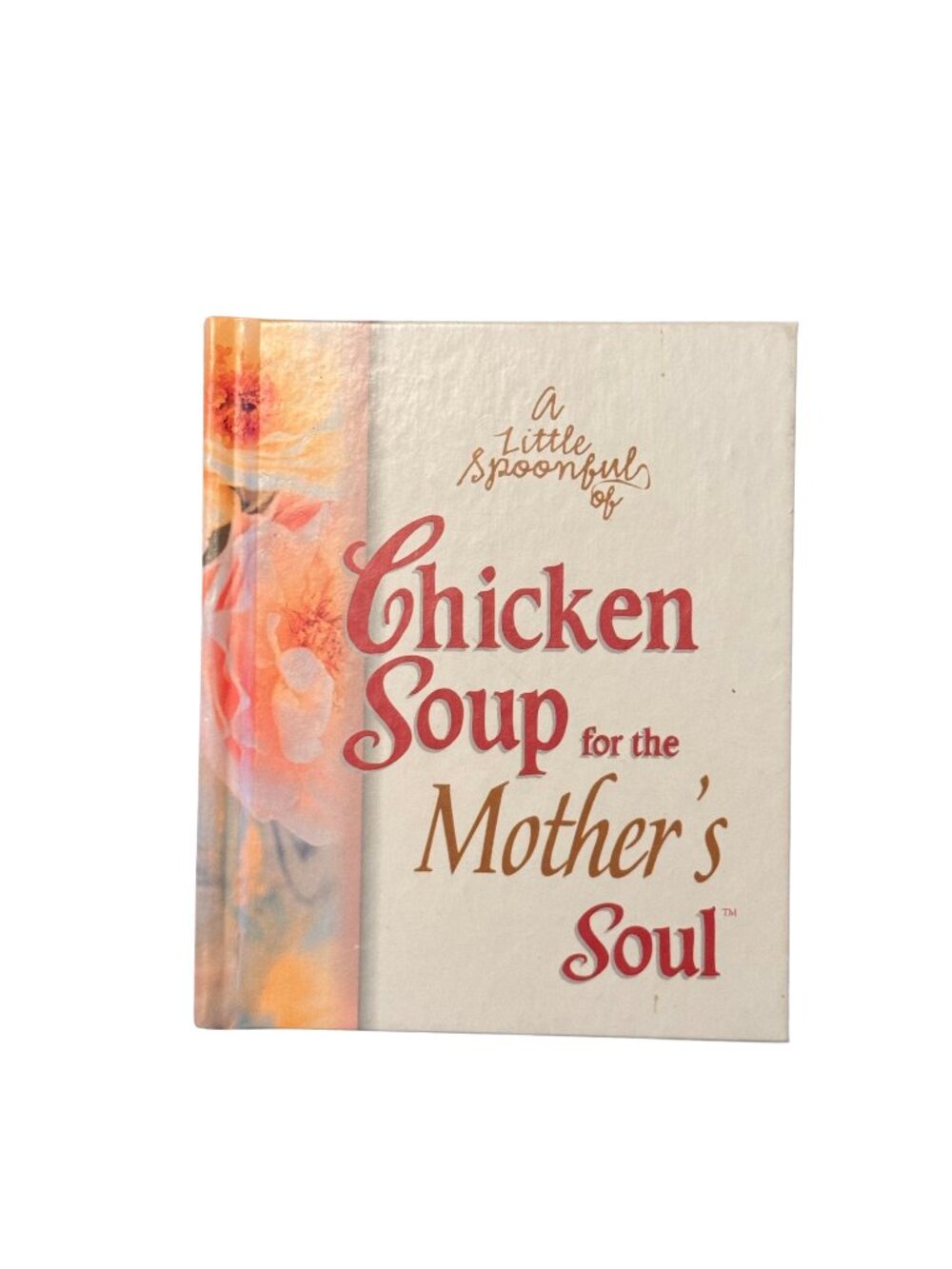 A Little Spoonful Chicken Soup for the Mother’s Soul JCPenney Hardcover Gift